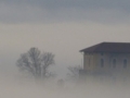 Nebbia sul Canavese