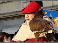 Il falconiere